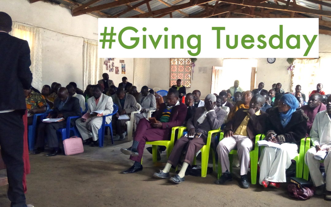Partner with CDI on Giving Tuesday!