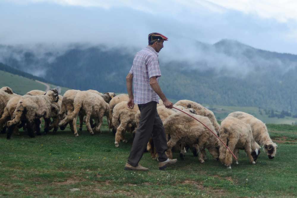 pastoral-epistles Exploring God's Word